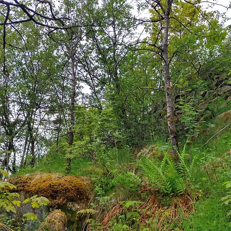 The Perfect Stop - Lavvo Aurora Luxury tent Lodingen