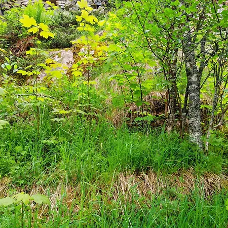 The Perfect Stop - Lavvo Aurora Luxury tent